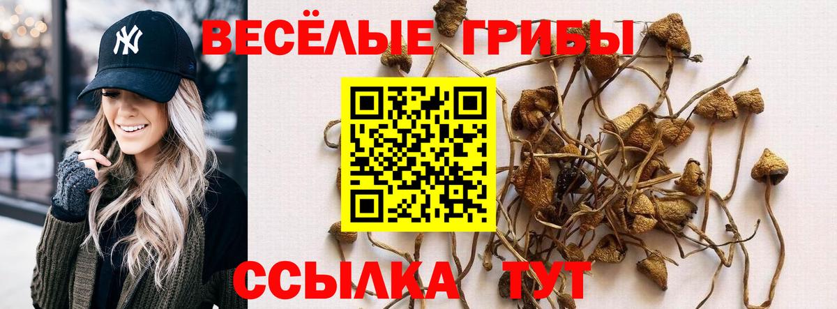 Псилоцибиновые грибы ЛСД  Вход с VPN  Псилоцибиновые грибы мицелий  Кудрово 