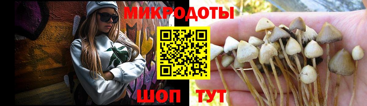 Галлюциногенные грибы Cubensis Кудрово